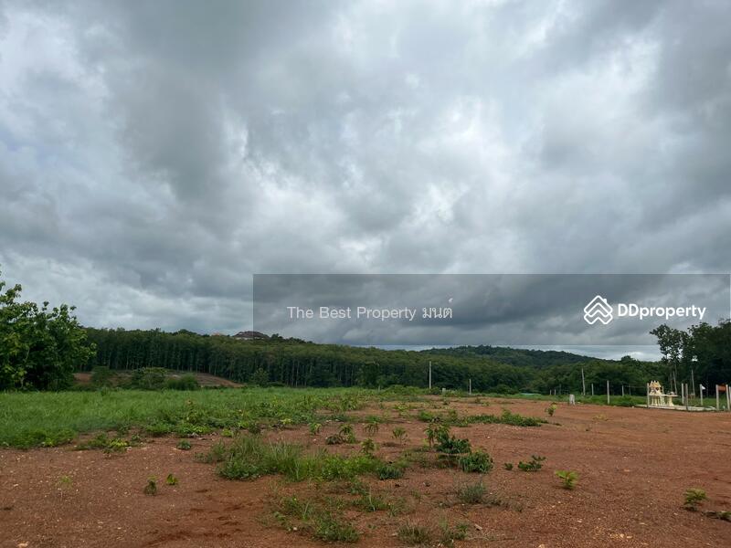 ขาย - ที่ดินไชยสถาน น่าน, น่าน
