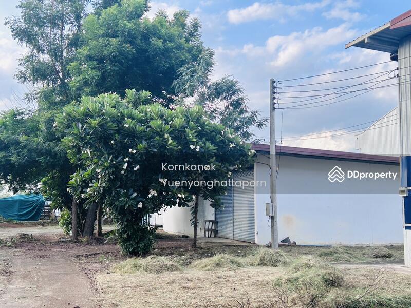 For Rent - Nava Nakorn Public Company Limited, Nakhon Ratchasima