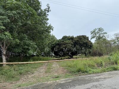 ขาย - ที่ดินทำเลดี ใกล้ถนนใหญ่ อ.โป่งน้ำร้อน จันทบุรี, จันทบุรี