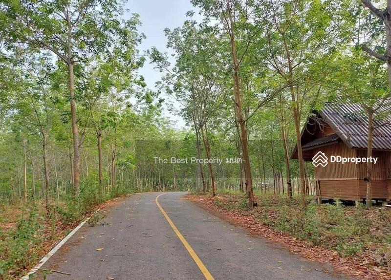 ขาย - ที่ดินปัว น่าน, น่าน