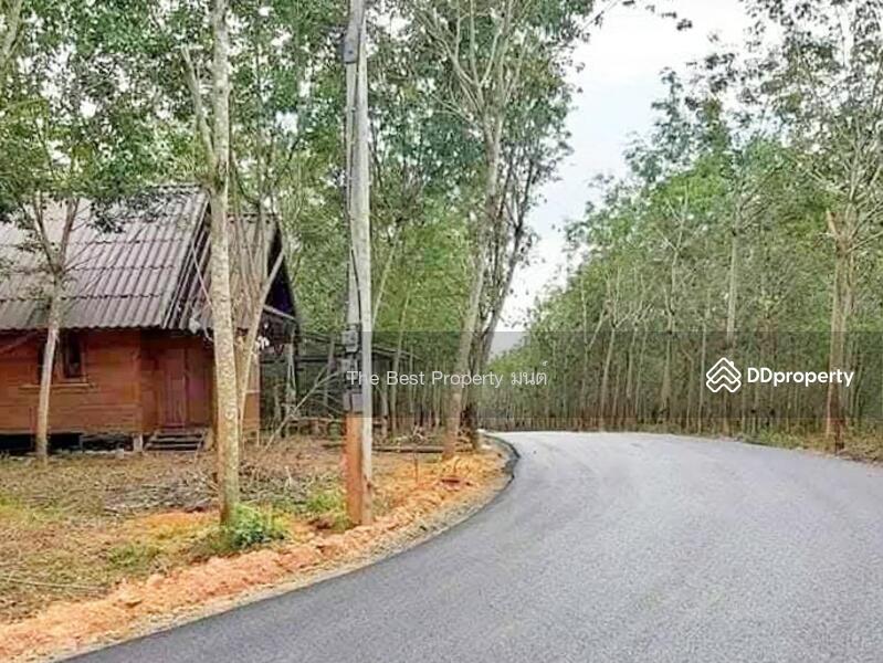 ขาย - ที่ดินปัว น่าน, น่าน
