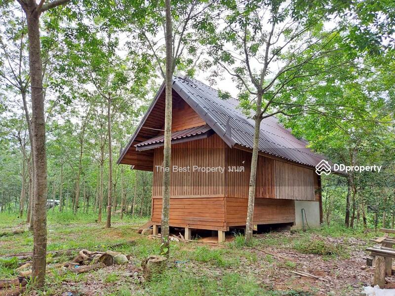 ขาย - ที่ดินปัว น่าน, น่าน