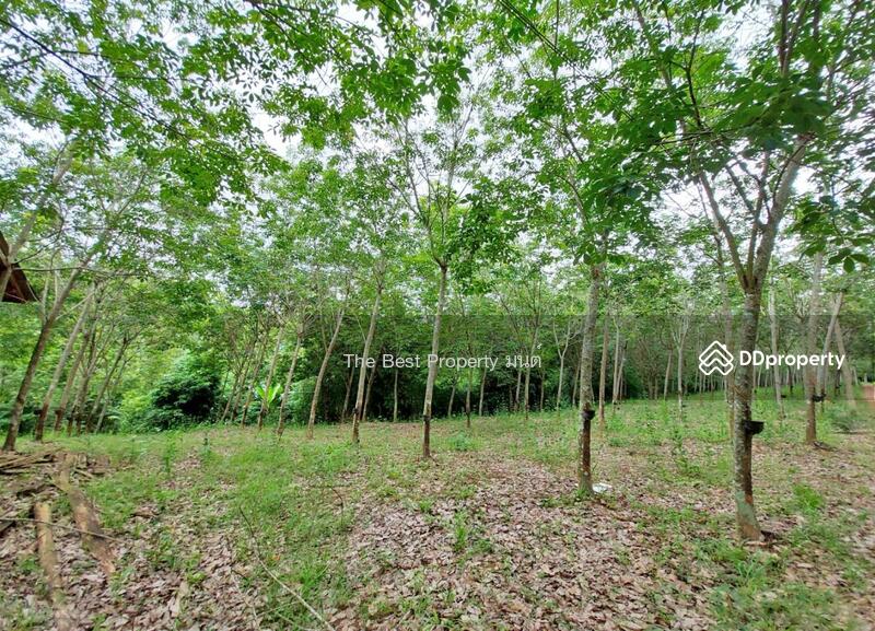 ขาย - ที่ดินปัว น่าน, น่าน