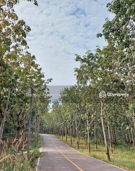 ขาย - ที่ดินปัว น่าน, น่าน