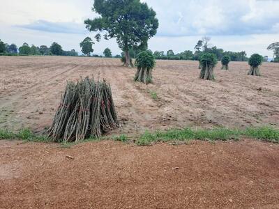 ขาย - ที่ดินวัฒนานคร สระแก้ว, สระแก้ว