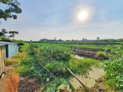 ขาย - ที่ดินกระทุ่มแบน สมุทรสาคร, สมุทรสาคร