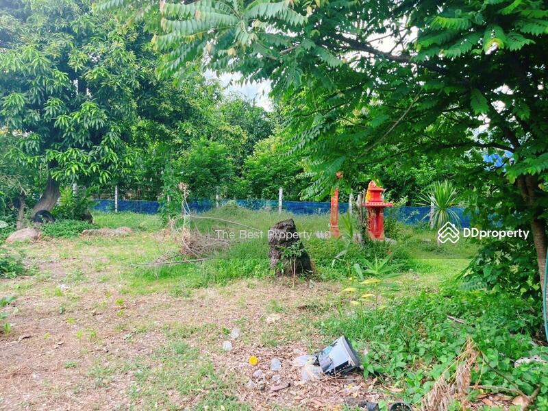 ขาย - บ้านเดี่ยวพร้อมที่ดินดงขวาง อุทัยธานี, อุทัยธานี
