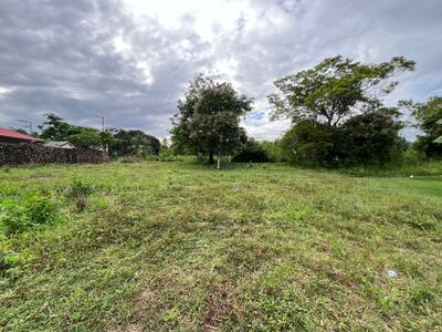 ขาย - ที่ดินบางละมุง ชลบุรี, ชลบุรี