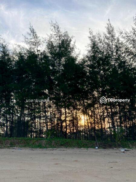 ขาย - พังงา, พังงา