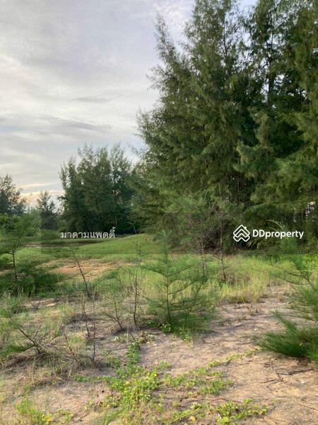 For Sale - พังงา, Phangnga