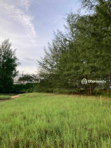 For Sale - พังงา, Phangnga