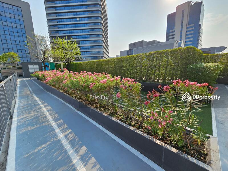 For Rent - Quintara Treehaus Sukhumvit 42, Bangkok