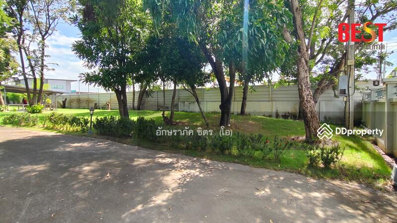 ขาย - ขายบ้านเดี่ยว สร้างเอง สไตล์บ้านสวน สามโคก ปทุมธานี โครงสร้างแข็งแรง, ปทุมธานี