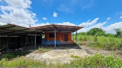 ขาย - ตำบลคลองแม่ลาย อำเภอเมืองกำแพงเพชร จังหวัดกำแพงเพชร, กำแพงเพชร