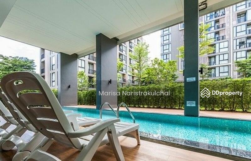 For Sale - Palm Springs Nimman Parlor, Chiang Mai
