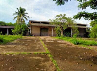 ขาย - ตำบล บุ่ง อำเภอ เมืองอำนาจเจริญ จังหวัด อำนาจเจริญ, อำนาจเจริญ