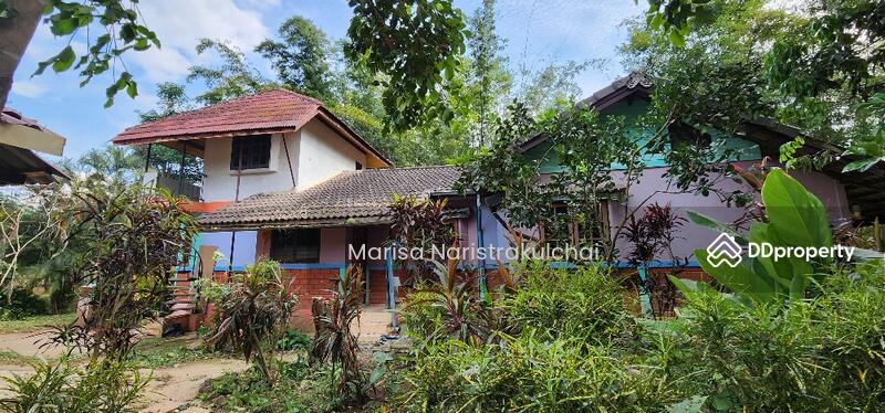 For Sale - Mae Na, Chiang Mai