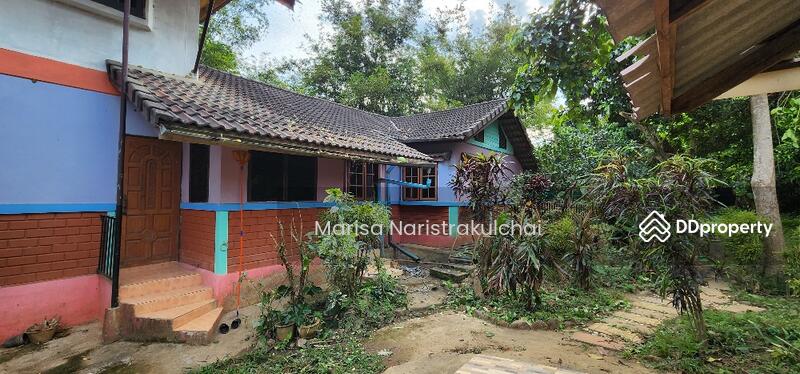 For Sale - Mae Na, Chiang Mai
