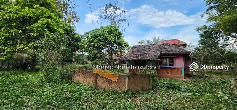 For Sale - Mae Na, Chiang Mai