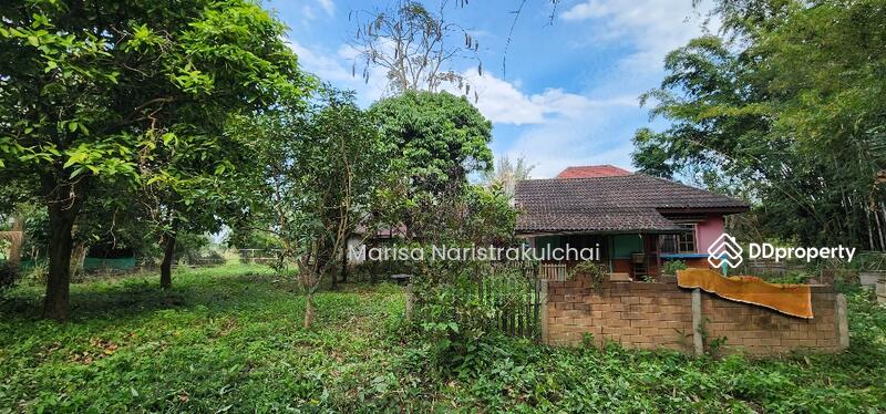 For Sale - Mae Na, Chiang Mai