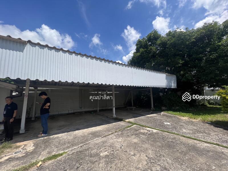 For Sale - 146 ม.1 แม่ใจ, Phayao