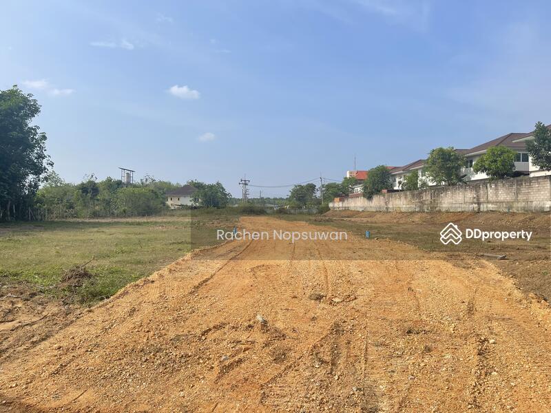 ขาย - ขายด่วน ที่ดินบ้านพรุ หาดใหญ่ เหมาะสร้างที่อยู่อาศัยขนาด 100 ตร.วา ขายเริ่มต้น 1.65 ล้านบาท, สงขลา