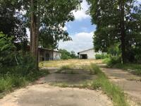 ขาย - ตำบล บุ่ง อำเภอ เมืองอำนาจเจริญ จังหวัด อำนาจเจริญ, อำนาจเจริญ