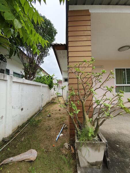 ให้เช่า - บ้านปล่อยเช่าตรงข้างเซ็นทรัล หน้าซอยมีเซเว่น เขาออกสะดวก ใกล้ทุกห้าง 3 น 2 น้ำ มีแอนด์ ตัว มันเปล่า, นครราชสีมา