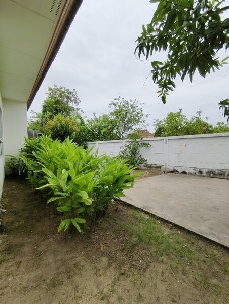 ให้เช่า - บ้านปล่อยเช่าตรงข้างเซ็นทรัล หน้าซอยมีเซเว่น เขาออกสะดวก ใกล้ทุกห้าง 3 น 2 น้ำ มีแอนด์ ตัว มันเปล่า, นครราชสีมา