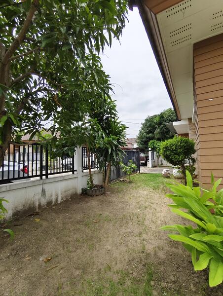 ให้เช่า - บ้านปล่อยเช่าตรงข้างเซ็นทรัล หน้าซอยมีเซเว่น เขาออกสะดวก ใกล้ทุกห้าง 3 น 2 น้ำ มีแอนด์ ตัว มันเปล่า, นครราชสีมา