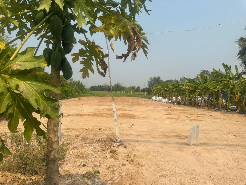 ขาย - ที่ดินเปล่า ลำลูกกาคลอง12, ปทุมธานี