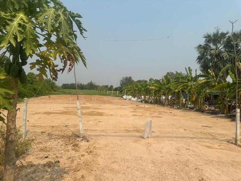 ขาย - ที่ดินเปล่า ลำลูกกาคลอง12, ปทุมธานี