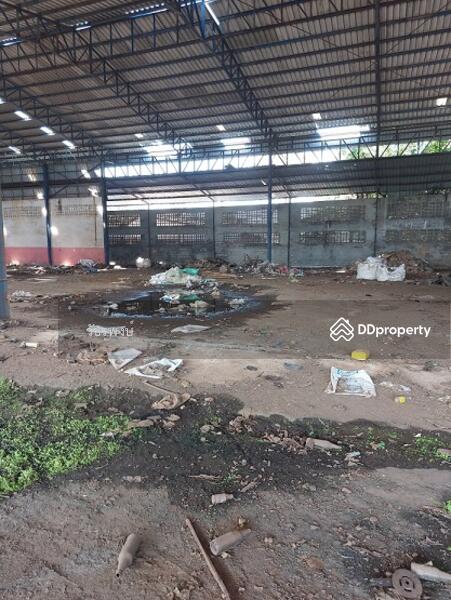 ขาย - โกดัง อำเภอพุนพิน จังหวัดสุราษฎร์ธานี, สุราษฎร์ธานี