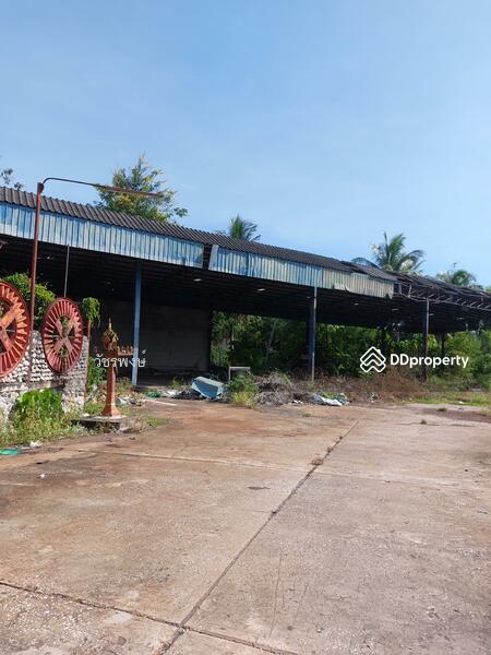 ขาย - โกดัง อำเภอพุนพิน จังหวัดสุราษฎร์ธานี, สุราษฎร์ธานี