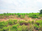 ที่ดินพระทองคำ นครราชสีมา, นครราชสีมา
