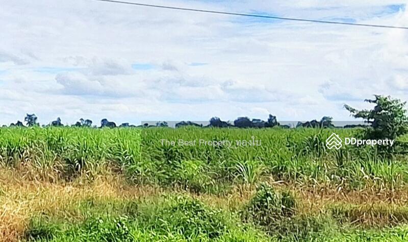 For Sale - ที่ดินพระทองคำ นครราชสีมา, Nakhon Ratchasima