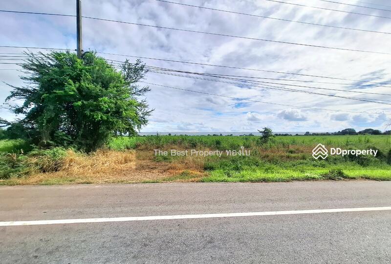 For Sale - ที่ดินพระทองคำ นครราชสีมา, Nakhon Ratchasima