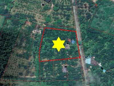 ขาย - ขายที่ดิน ปราจีนบุรี 4 ไร่ 3 งาน 80 ตร.ว. พร้อมสวนผลไม้ผสม มีบ่อน้ำ และ สิ่งปลูกสร้าง ปราจีนบุรี, ปราจีนบุรี