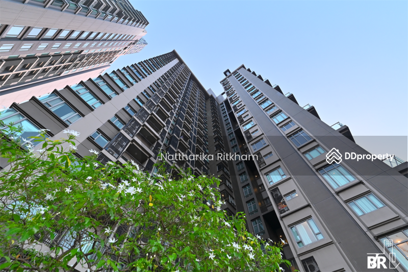 For Rent - The Crest Sukhumvit 34, Bangkok
