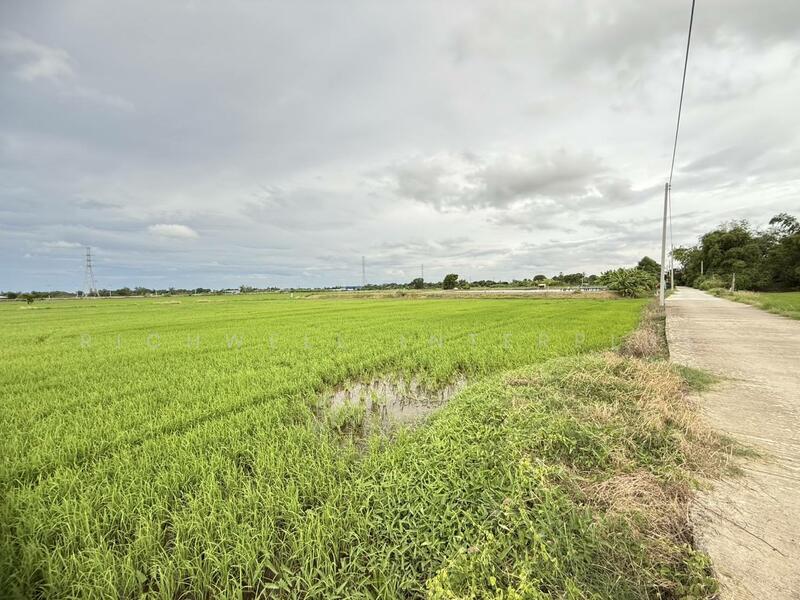 ขายที่ดินบางเตยแปดริ้ว 2 ไร่ ติดถนนคอนกรีต ใกล้ถนนวงแหวนเลี่ยงเมือง365-4กม. เมืองฉะเชิงเทรา, Chachoengsao, Bang Toei, Muang Chachoengsao, Chachoengsao, , 4,324 sqm, Land For Sale, by RICHWELL INTERPLUS, 60052680 - DDproperty.com