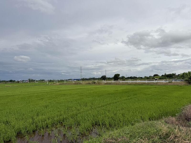 ขายที่ดินบางเตยแปดริ้ว 2 ไร่ ติดถนนคอนกรีต ใกล้ถนนวงแหวนเลี่ยงเมือง365-4กม. เมืองฉะเชิงเทรา, Chachoengsao, Bang Toei, Muang Chachoengsao, Chachoengsao, , 4,324 sqm, Land For Sale, by RICHWELL INTERPLUS, 60052680 - DDproperty.com