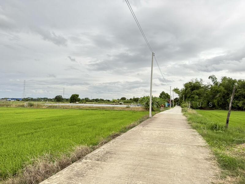 ขายที่ดินบางเตยแปดริ้ว 2 ไร่ ติดถนนคอนกรีต ใกล้ถนนวงแหวนเลี่ยงเมือง365-4กม. เมืองฉะเชิงเทรา, ฉะเชิงเทรา, บางเตย, เมืองฉะเชิงเทรา, ฉะเชิงเทรา, 4,324 ตร.ม., ที่ดิน ขาย, โดย RICHWELL INTERPLUS, 60052680 - DDproperty.com