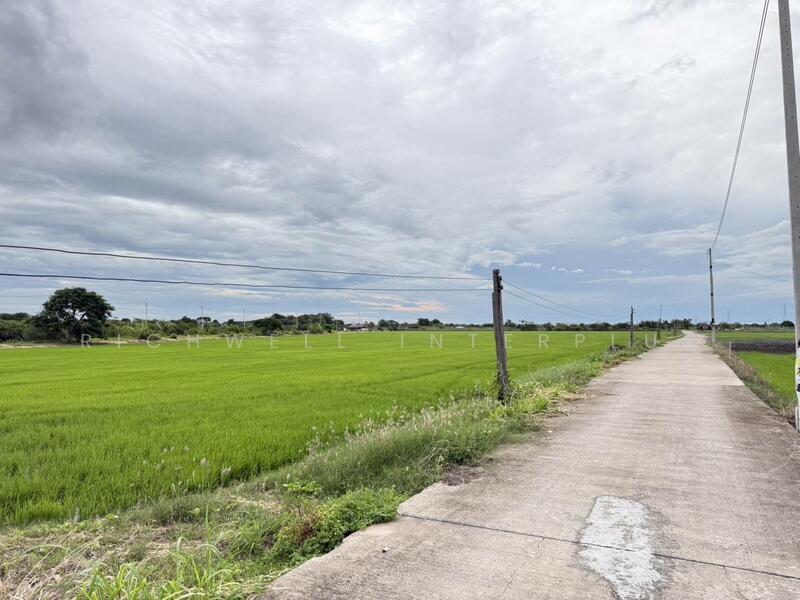 ขายที่ดินบางเตยแปดริ้ว 2 ไร่ ติดถนนคอนกรีต ใกล้ถนนวงแหวนเลี่ยงเมือง365-4กม. เมืองฉะเชิงเทรา, ฉะเชิงเทรา, บางเตย, เมืองฉะเชิงเทรา, ฉะเชิงเทรา, 4,324 ตร.ม., ที่ดิน ขาย, โดย RICHWELL INTERPLUS, 60052680 - DDproperty.com