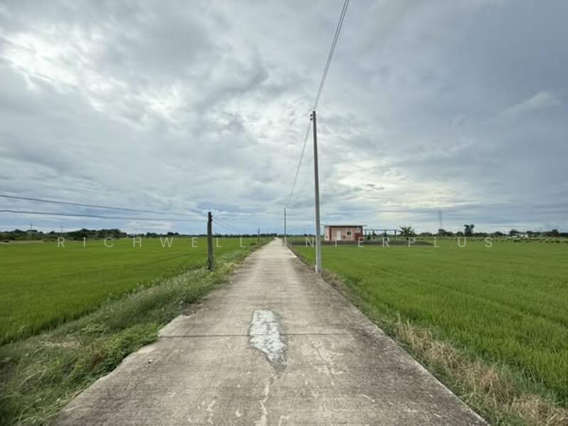 ขายที่ดินบางเตยแปดริ้ว 2 ไร่ ติดถนนคอนกรีต ใกล้ถนนวงแหวนเลี่ยงเมือง365-4กม. เมืองฉะเชิงเทรา, Chachoengsao, Bang Toei, Muang Chachoengsao, Chachoengsao, , 4,324 sqm, Land For Sale, by RICHWELL INTERPLUS, 60052680 - DDproperty.com