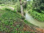 ที่ดินเขาขายที่ดินเปล่า เขาคิชณกุฎ จันทบุรี 11 ไร่, จันทบุรี