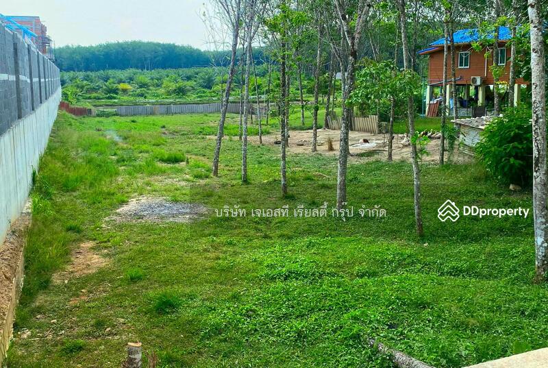 ขาย - Land 2 Rai Cheingtalay, ภูเก็ต