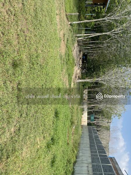 ขาย - Land 2 Rai Cheingtalay, ภูเก็ต