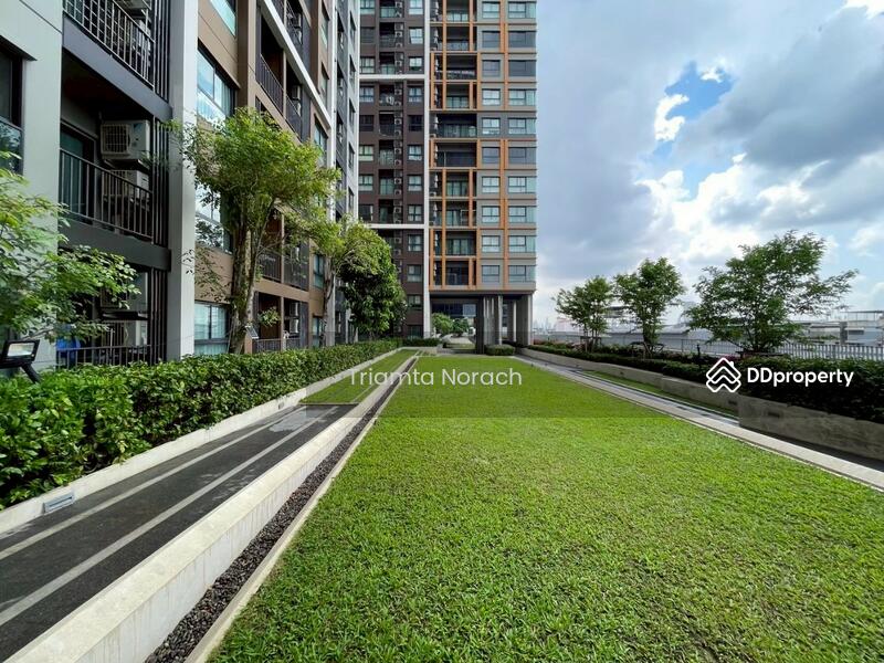 ขาย - The Parkland Charan-Pinklao : เดอะ พาร์คแลนด์ จรัญฯ-ปิ่นเกล้า, กรุงเทพ