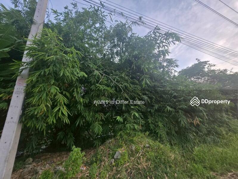 For Sale - Land Khlong 3, Pathum Thani