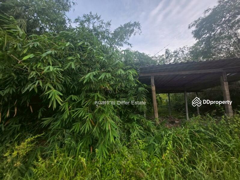 For Sale - Land Khlong 3, Pathum Thani